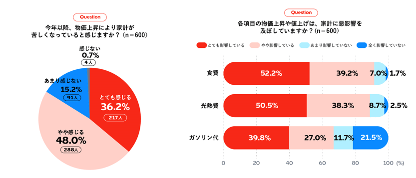 物価の上昇に伴う家計への影響